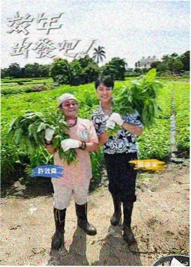 舞千年